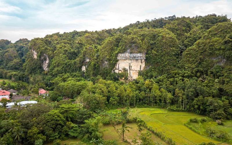 Taman Nasional Bantimurung sering dijuluki sebagai Kerajaan Kupu-Kupu karena memiliki keanekaragaman spesies kupu-kupu yang luar biasa. Selain itu, kawasan ini memiliki air terjun yang indah, gua-gua alami, sungai yang jernih, serta hutan tropis yang masih terjaga. Taman Nasional Bantimurung sering dijuluki sebagai Kerajaan Kupu-Kupu karena memiliki keanekaragaman spesies kupu-kupu yang luar biasa. Selain itu, kawasan ini memiliki air terjun yang indah, gua-gua alami, sungai yang jernih, serta hutan tropis yang masih terjaga.